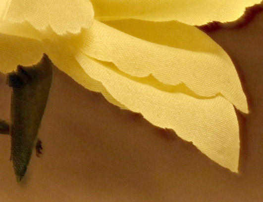 pmaxrailcrop2.jpg pmaxrailcrop2.jpg