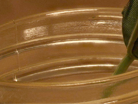 pmaxringcrop1.jpg pmaxringcrop1.jpg