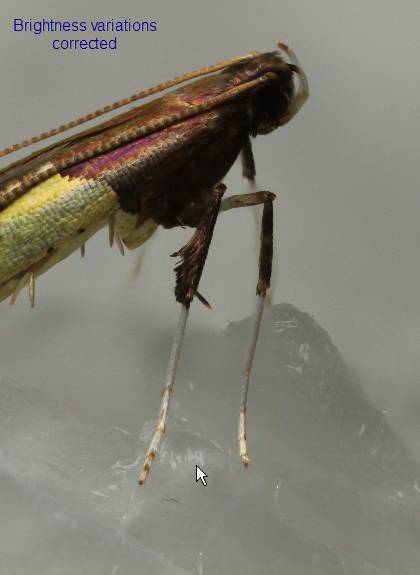 image008.jpg image008.jpg