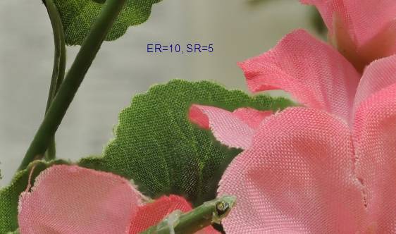 image010.jpg image010.jpg