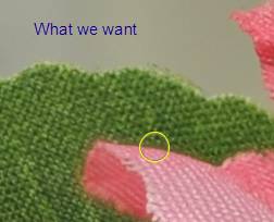 image012.jpg image012.jpg